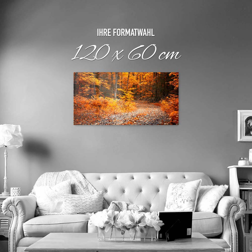 Wald & Bäume Herbst Wanderung II als Acrylglas Bild 120x60cm