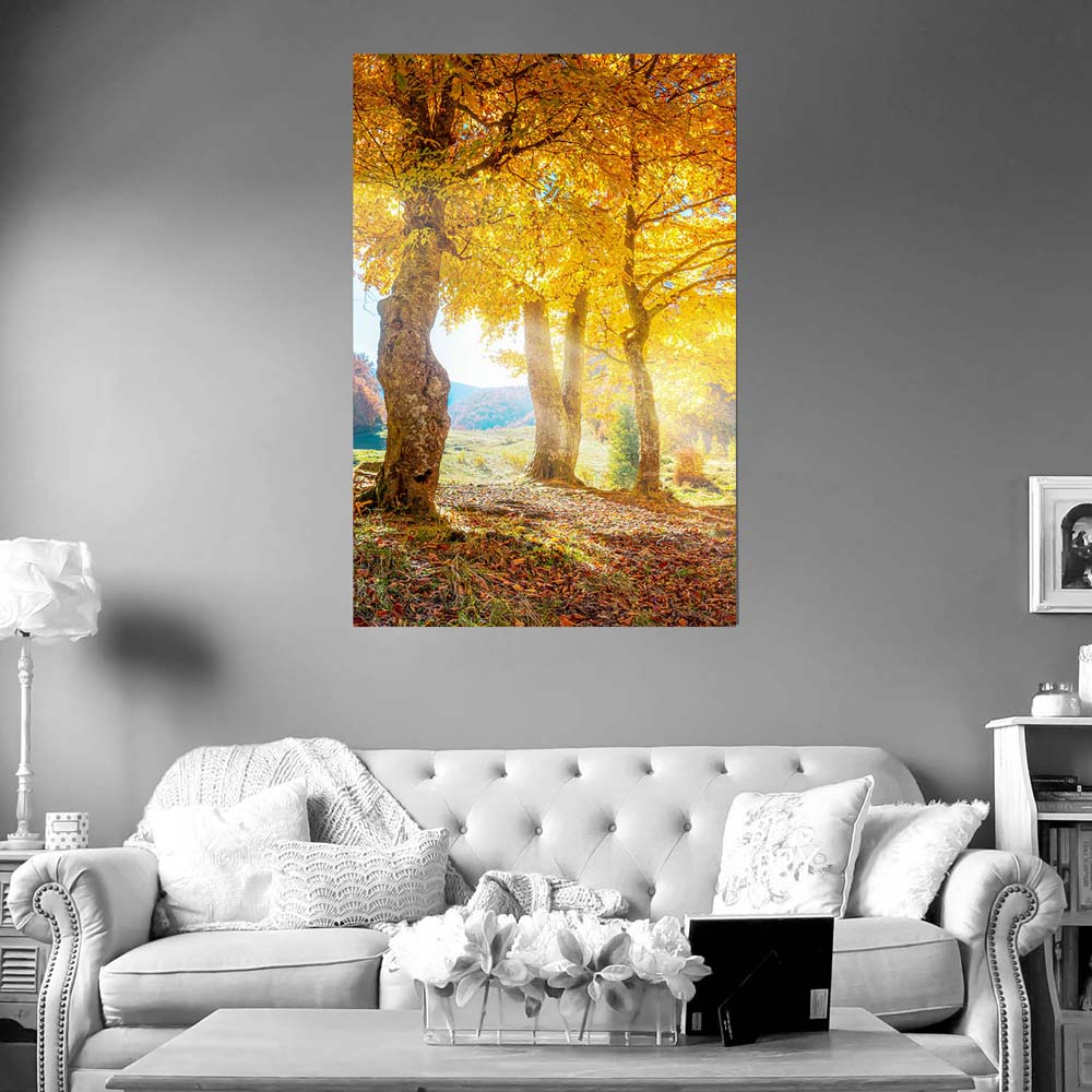 Wald & Bäume Herbst Sonne Poster XXL 100x150cm im Hochformat