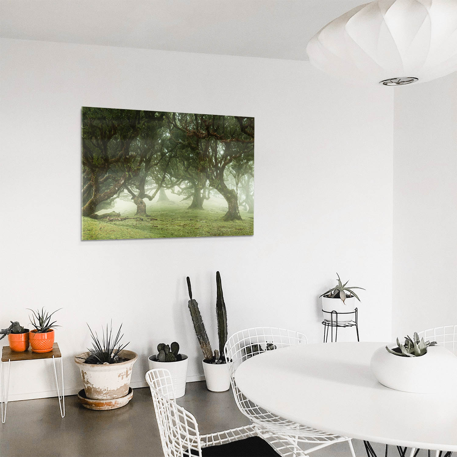 Panorama Acrylglasbild 180x90cm Wald & Bäume Nebel Gestalten