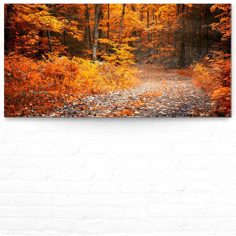 Wald & Bäume Herbst Wanderung II als Acrylglasverbund Bild 180x90cm