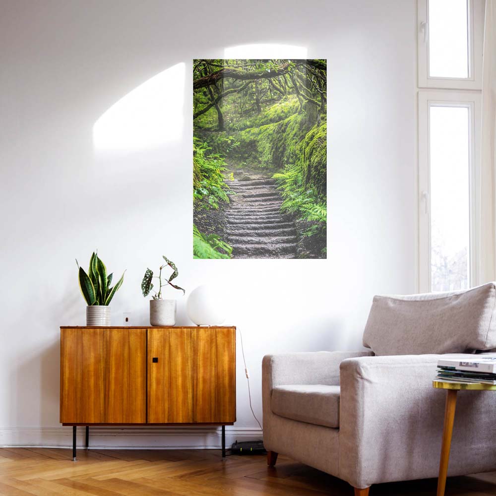 WandPoster Teneriffa Anaga Regenwald, 50x50cm
