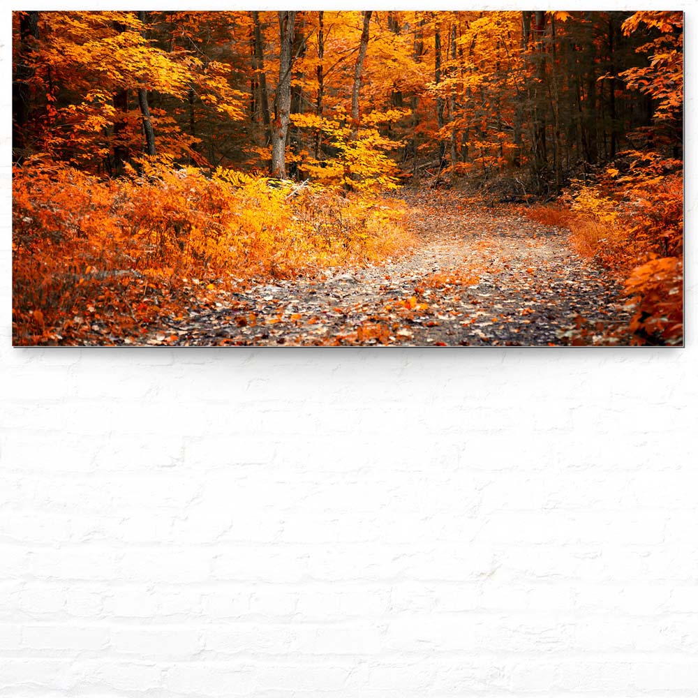 Wald & Bäume Herbst Wanderung II als Alu-Dibond Bild 120x60cm