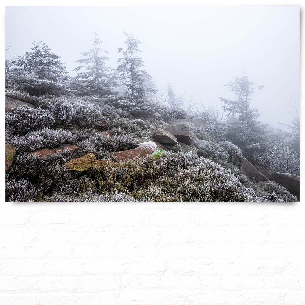 Poster 120x80cm groß, Wald & Bäume Schwarzwald Frost