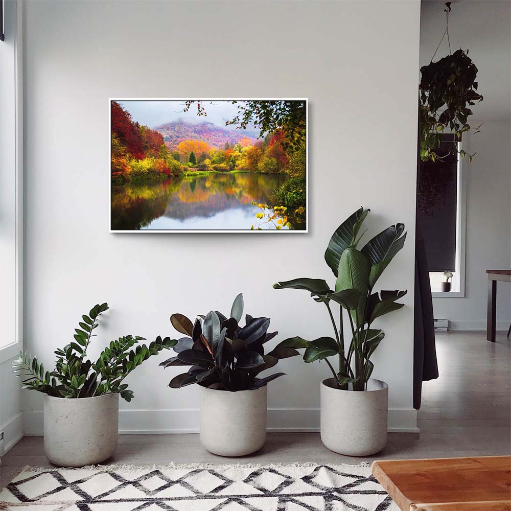 Wald & Bäume Lake Grza Serbien im weißen Bilderrahmen, 150x50cm