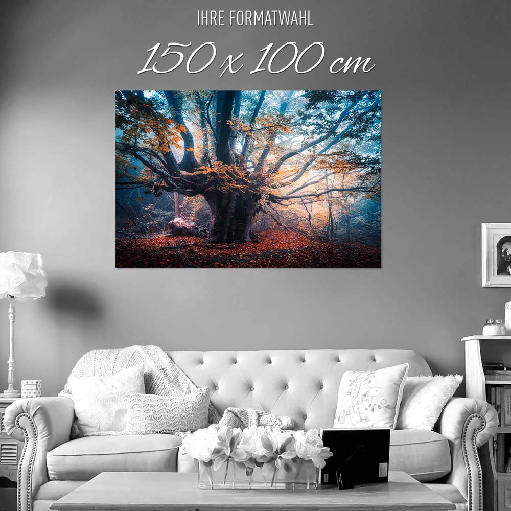 Baum Herbstbuche als Poster 150x100cm