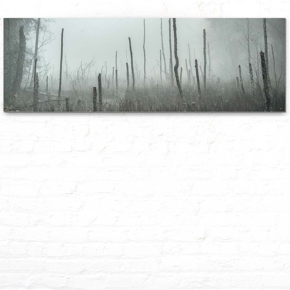 Alu-Dibond Bild 150x50cm groß Wald Bäume Sumpfgebiet
