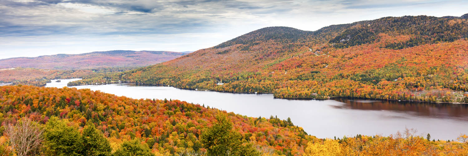 Panorama WandPoster 150x50cm Indian Summer, Québec, Kanada, Wald & Bäume