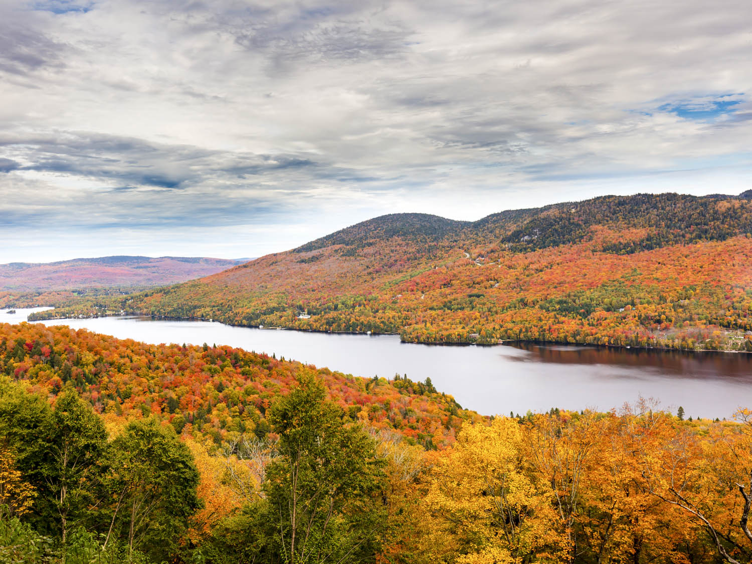 Poster Indian Summer, Québec, Kanada Wald & Bäume, 100x75cm groß