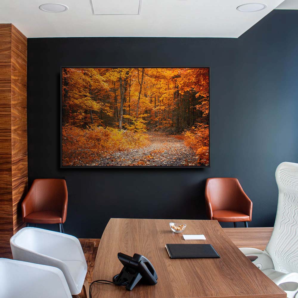 Wald & Bäume Herbst Wanderung II im schwarzen Bilderrahmen, 150x50cm