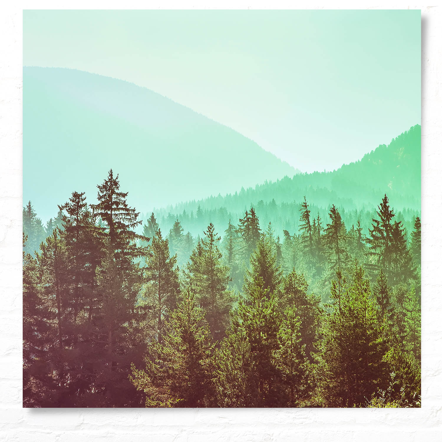 WandPoster Wald & Bäume Retrolook, 50x50cm