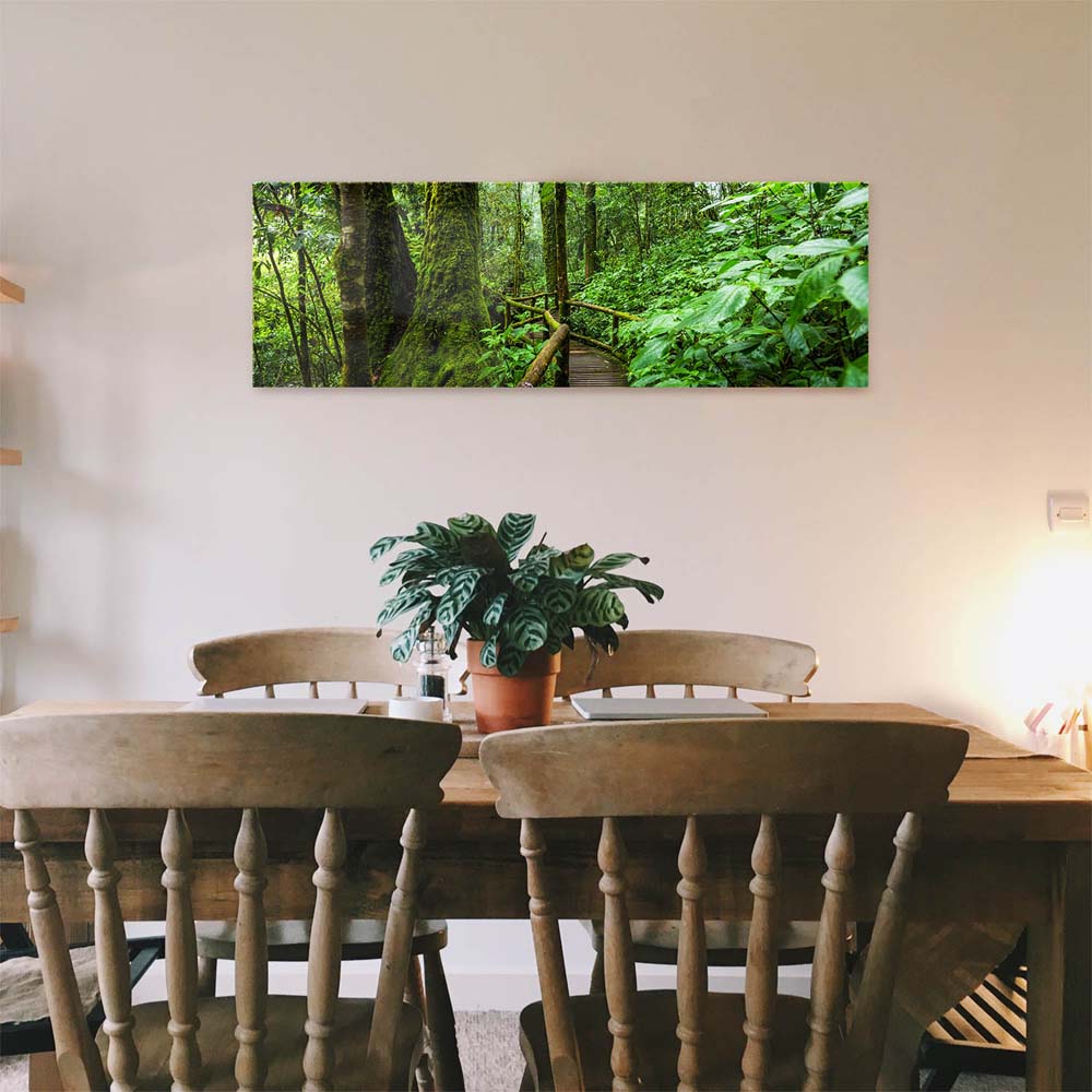 Panorama Acrylglasbild 180x90cm Regenwald Holzpfad