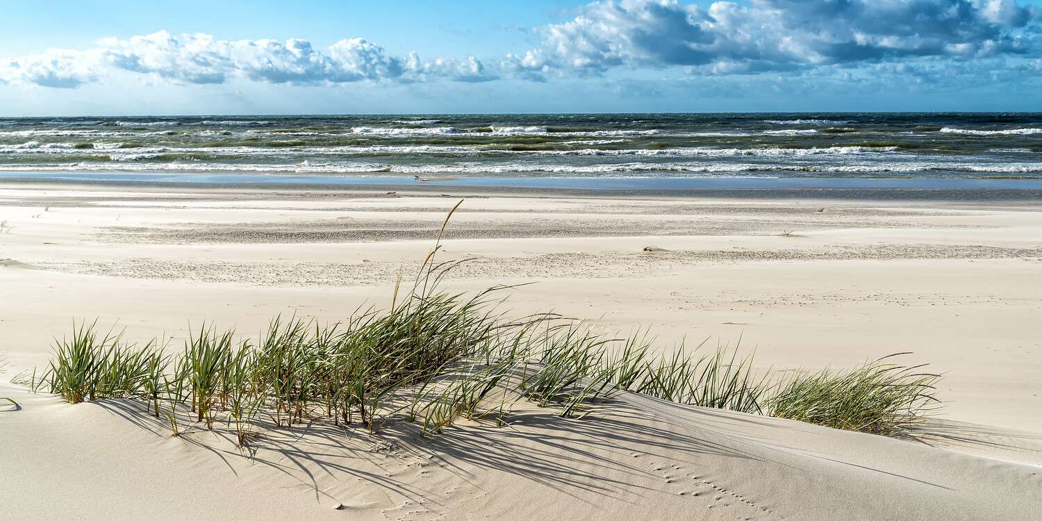 Leinwandbild 120x60cm Strand & Meer, Dünengras Ostsee