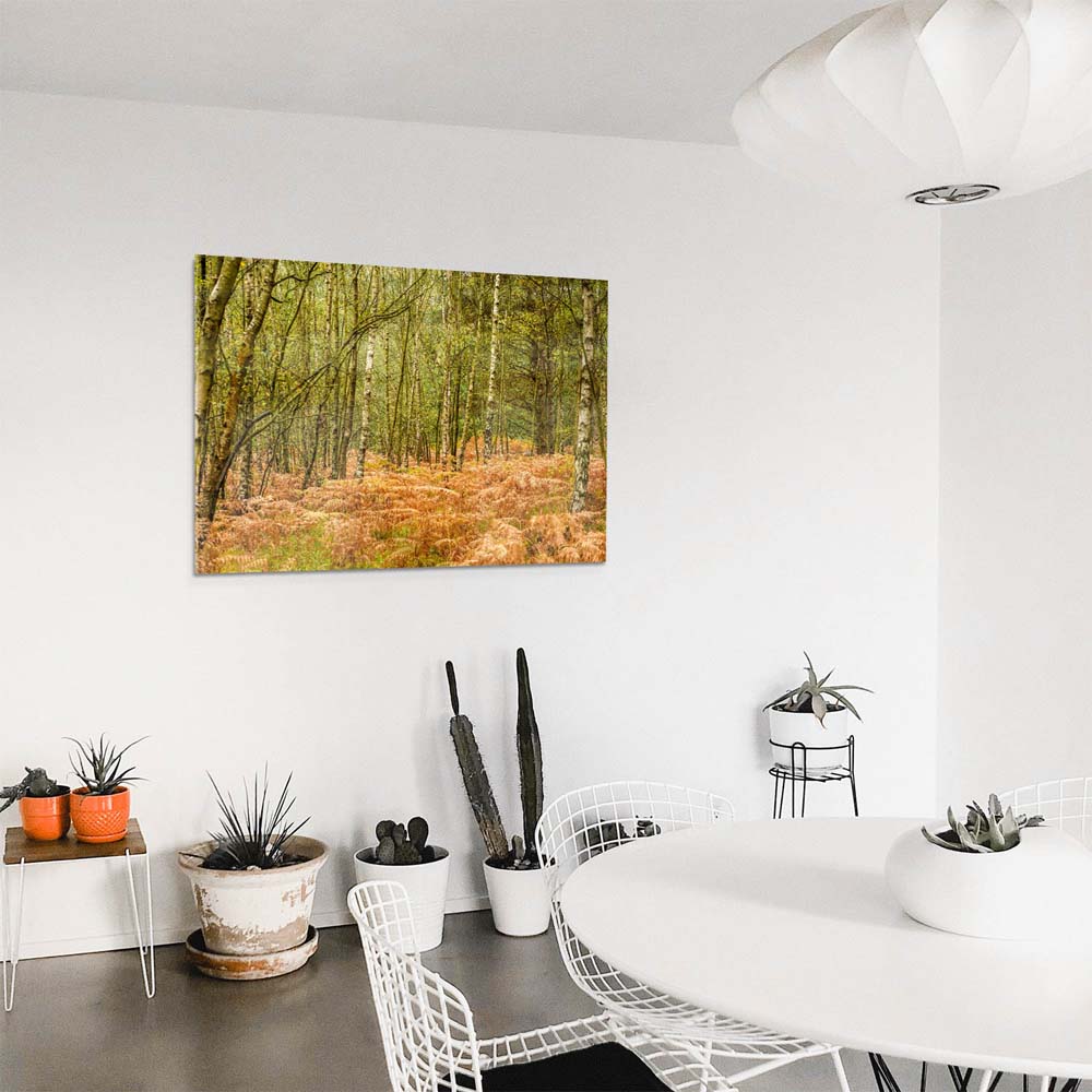 Panorama Acrylglasbild 180x90cm Wald & Bäume Farn im Herbst