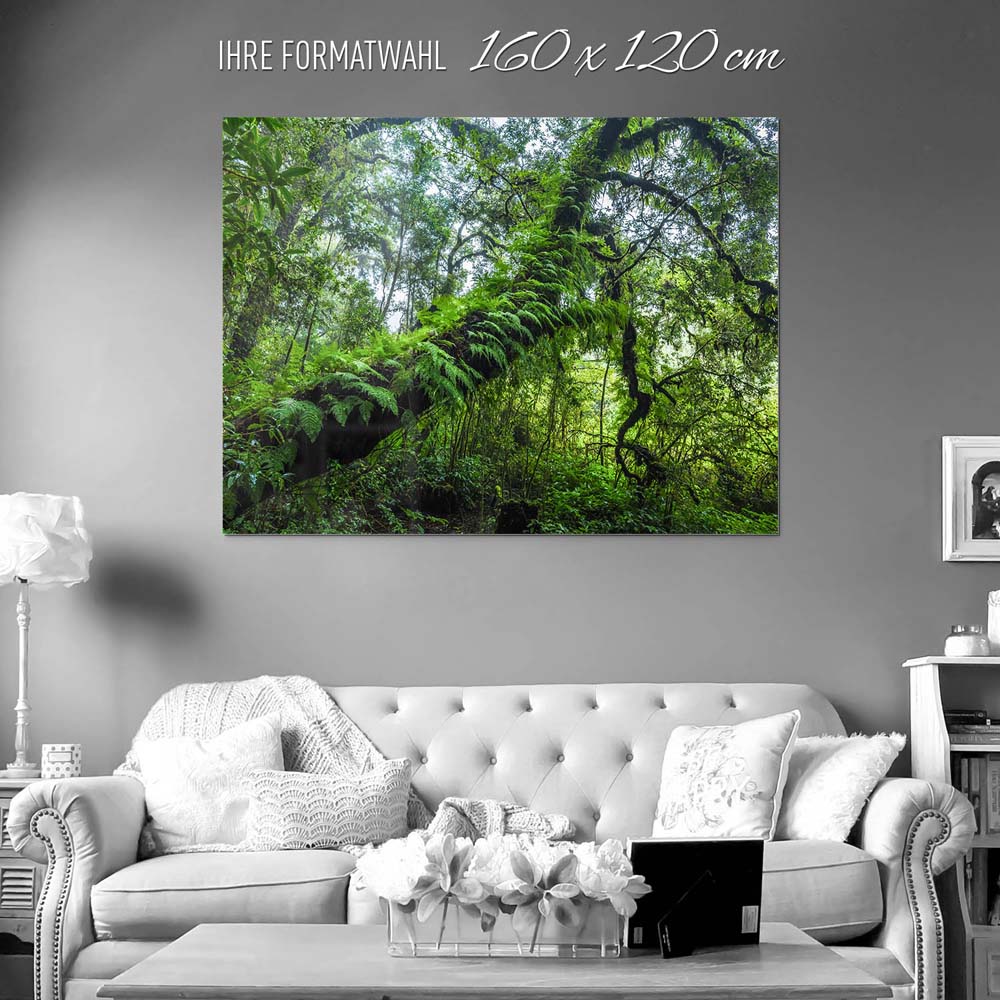 Wald & Bäume Farnimpression als Acrylglasverbund Bild 160x120cm
