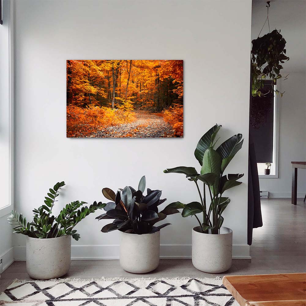 Wald & Bäume Herbst Wanderung II als Alu-Dibond Bild 120x60cm