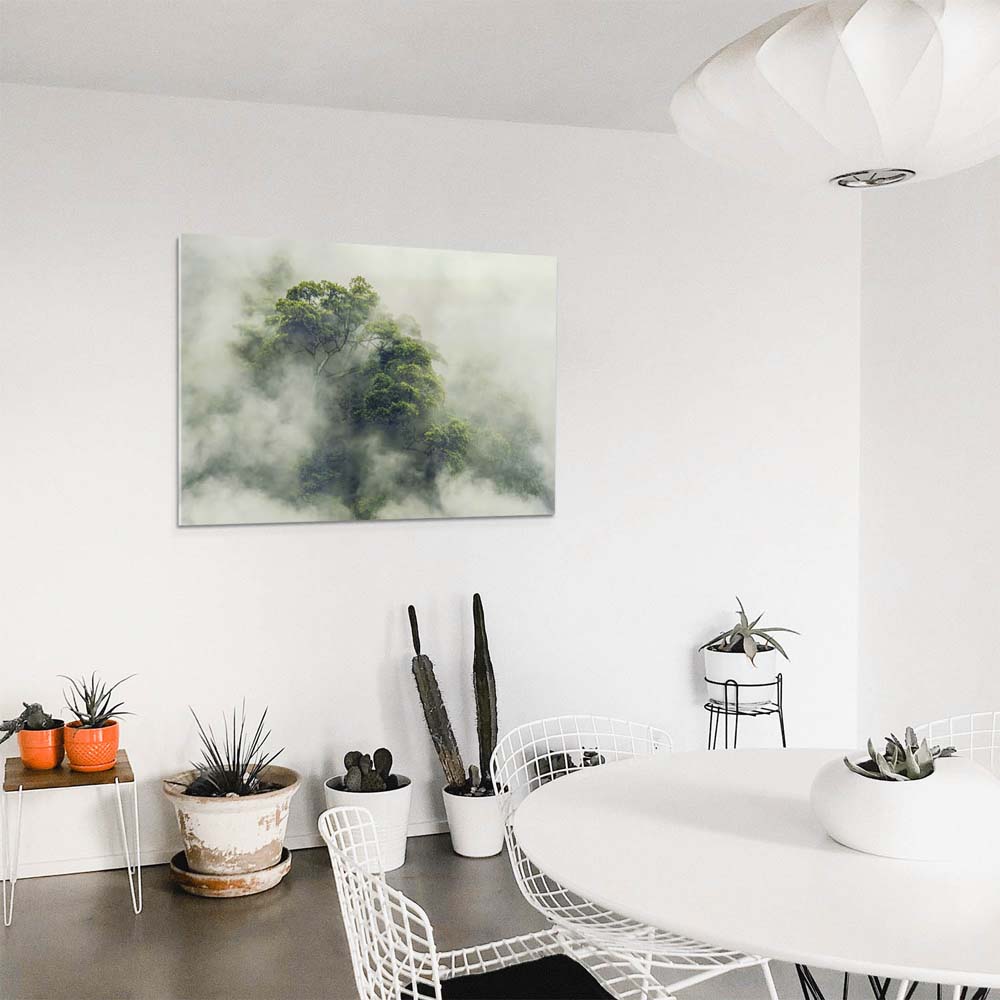 Panorama Acrylglasbild 180x90cm Regenwald Baumkrone