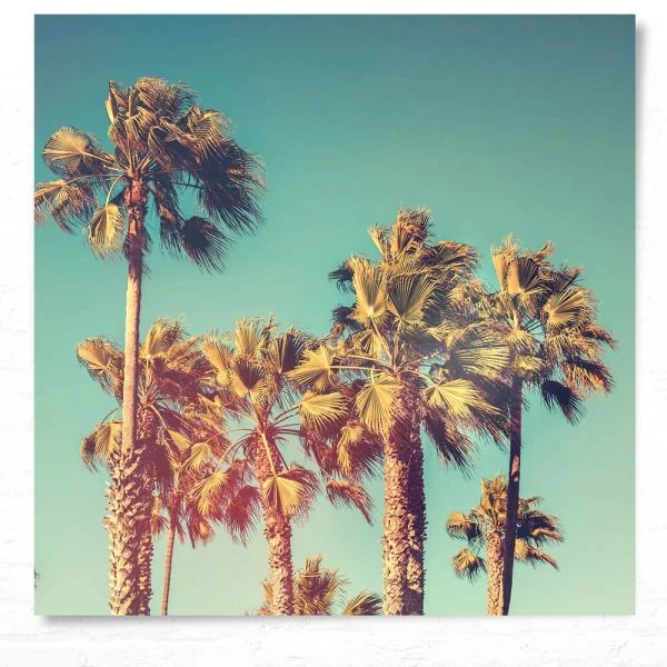 Poster 50x50cm Palmen retro look Kalifornien, USA