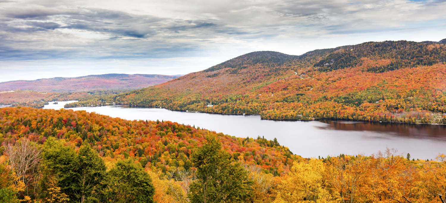 Wald & Bäume Indian Summer, Québec, Kanada als Poster 110x50cm