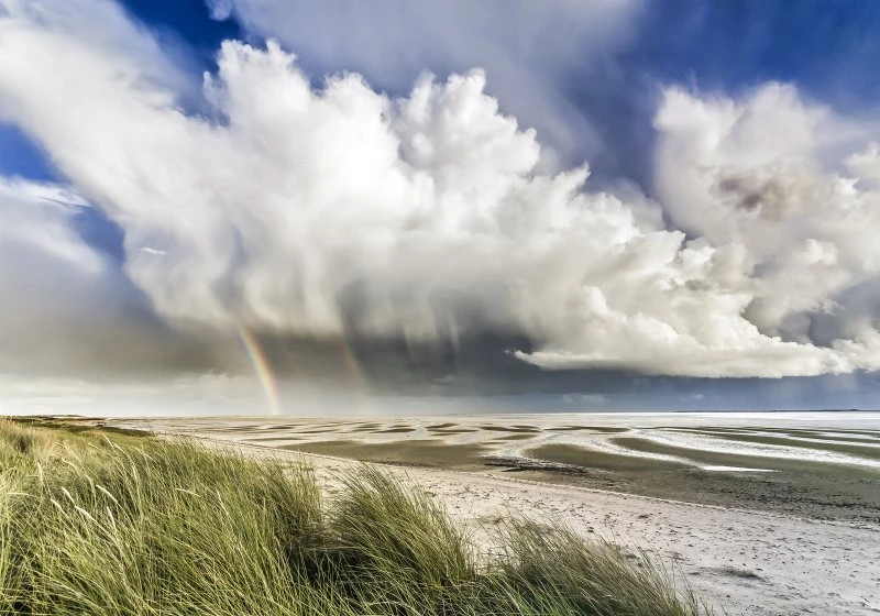Strand & Meer Wattenmeer Nordsee im schwarzen Bilderrahmen, 100x70cm