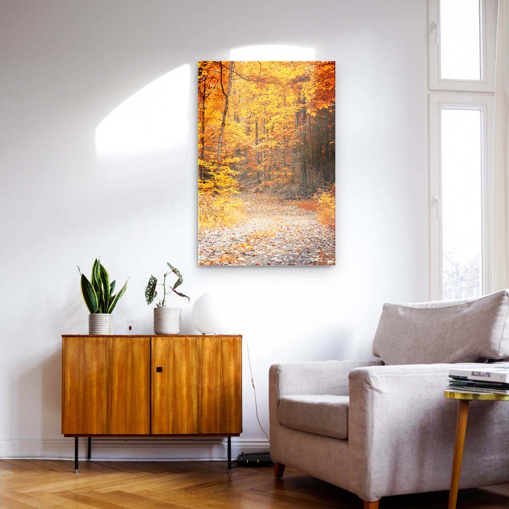 Acrylglasbild 150x50cm groß Wald & Bäume Herbst Wanderung II