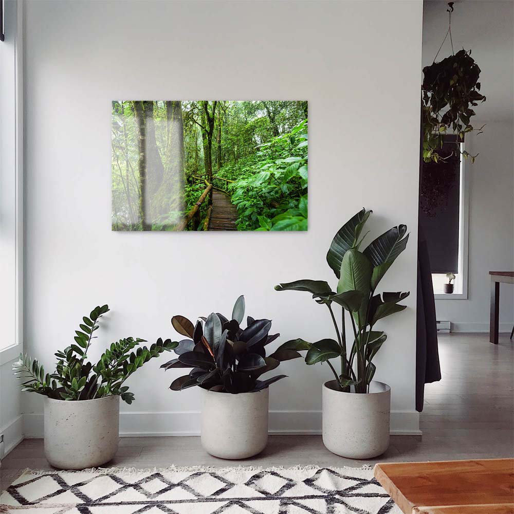 Panorama Acrylglasbild 180x90cm Regenwald Holzpfad