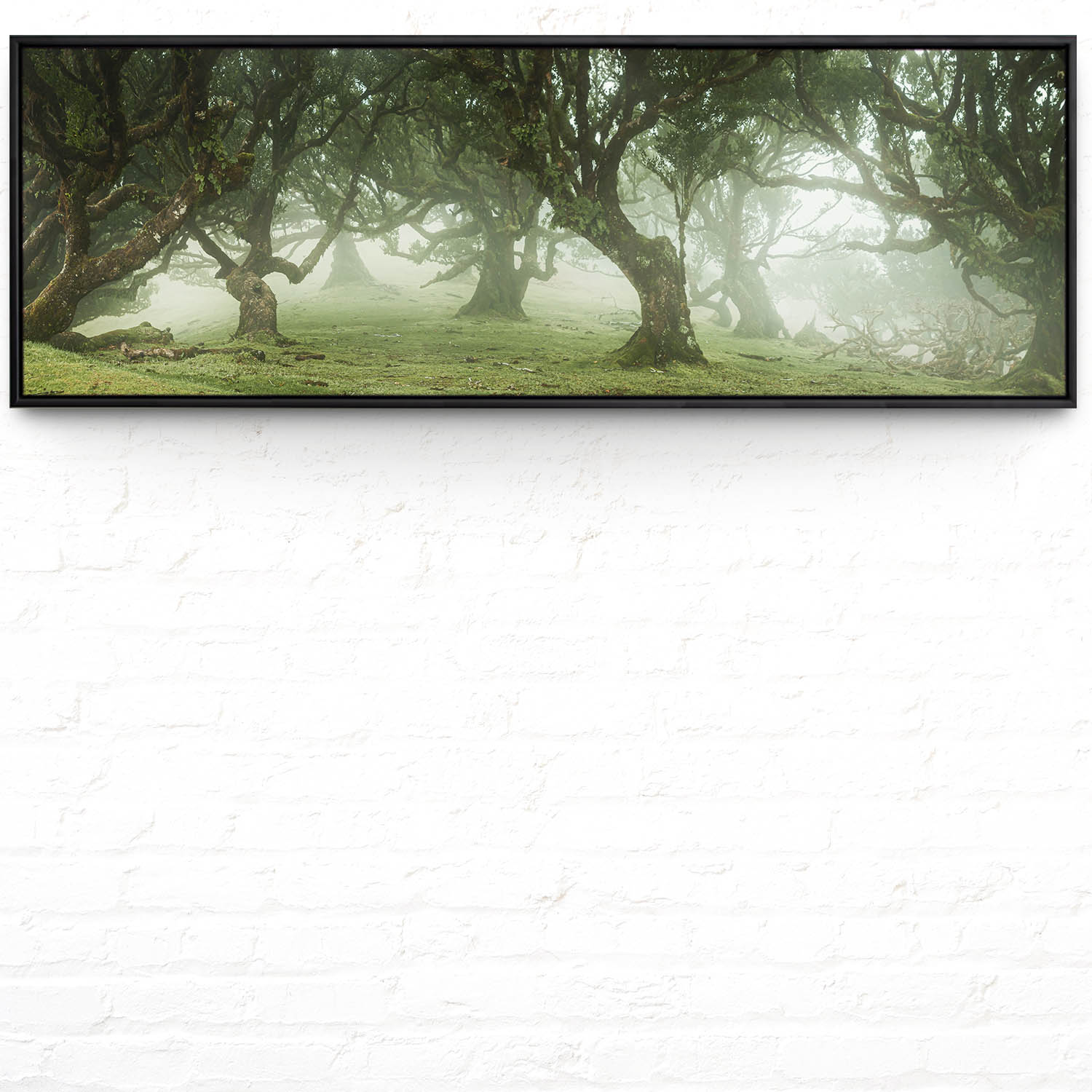 Wald & Bäume Nebel Gestalten im schwarzen Bilderrahmen, 150x50cm