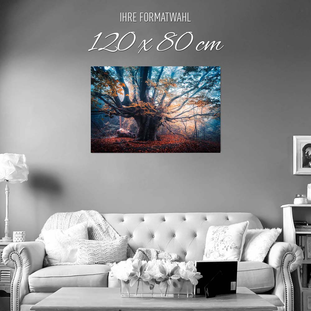 Poster 120x80cm groß, Baum Herbstbuche