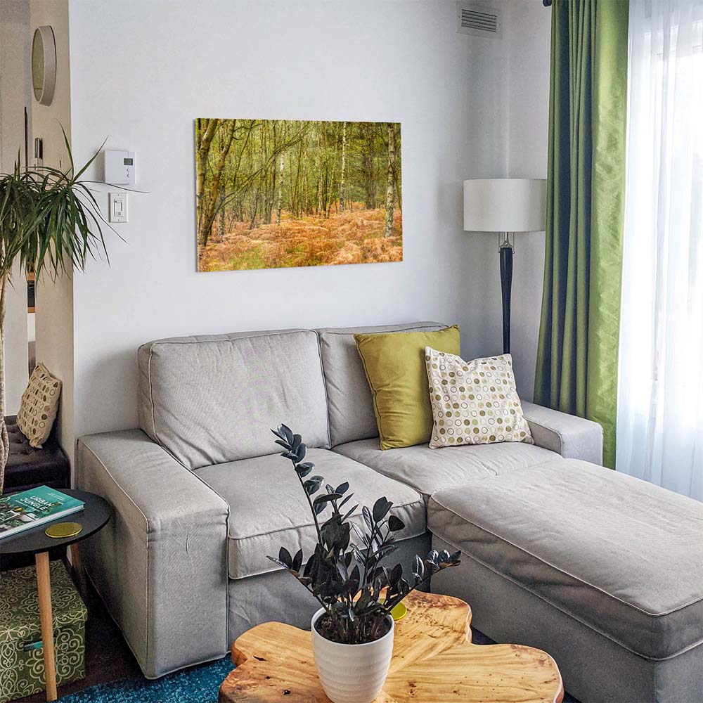 Panorama Acrylglasbild 180x90cm Wald & Bäume Farn im Herbst