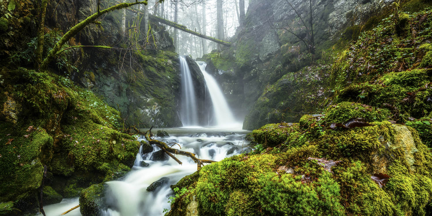 Großformat WandPoster Wald & Bäume Wasserfall im Schwarzwald, 180x90cm