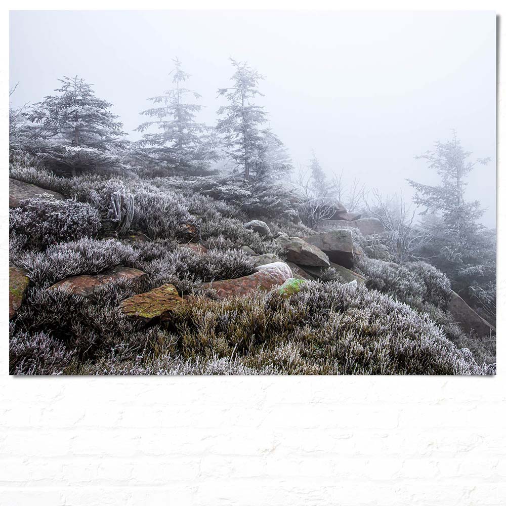 Poster Schwarzwald Frost Wald & Bäume, 100x75cm groß