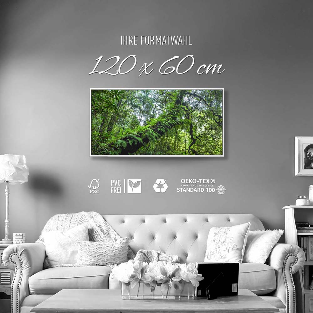 Wald & Bäume Farnimpression im weißen Bilderrahmen, 120x60cm