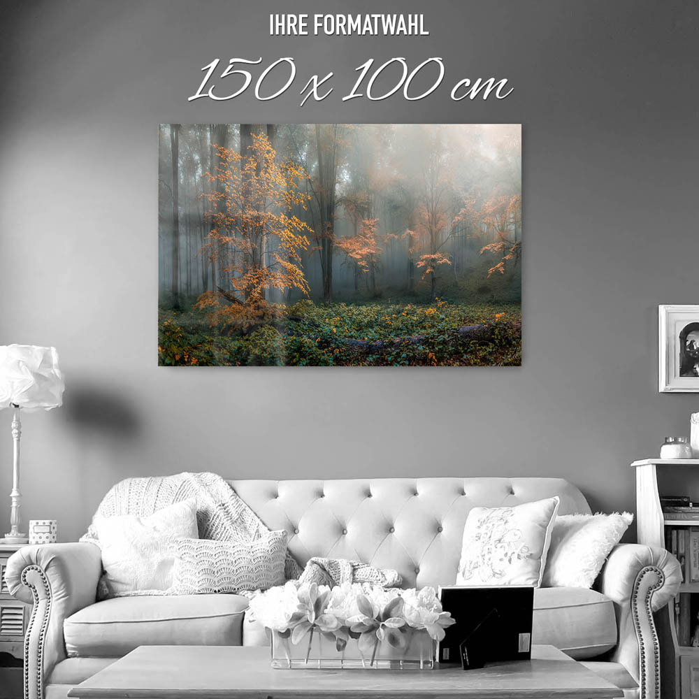 Wald Herbstidylle als XXL Acrylglasbild 150x100cm