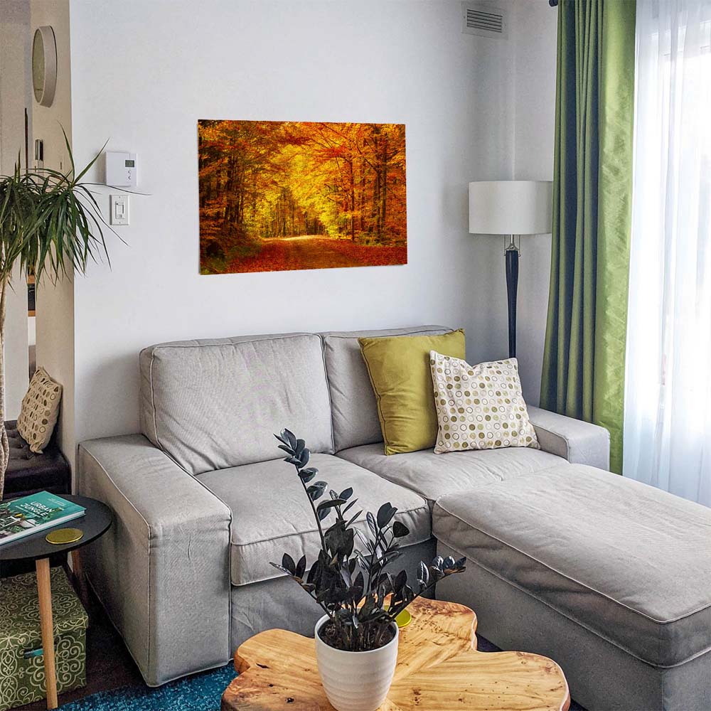 Poster 50x50cm Goldener Waldweg Wald & Bäume