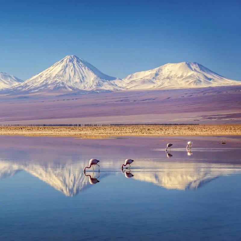 Berge & Gebirge Anden Atacama als Leinwand Bild 80x80cm