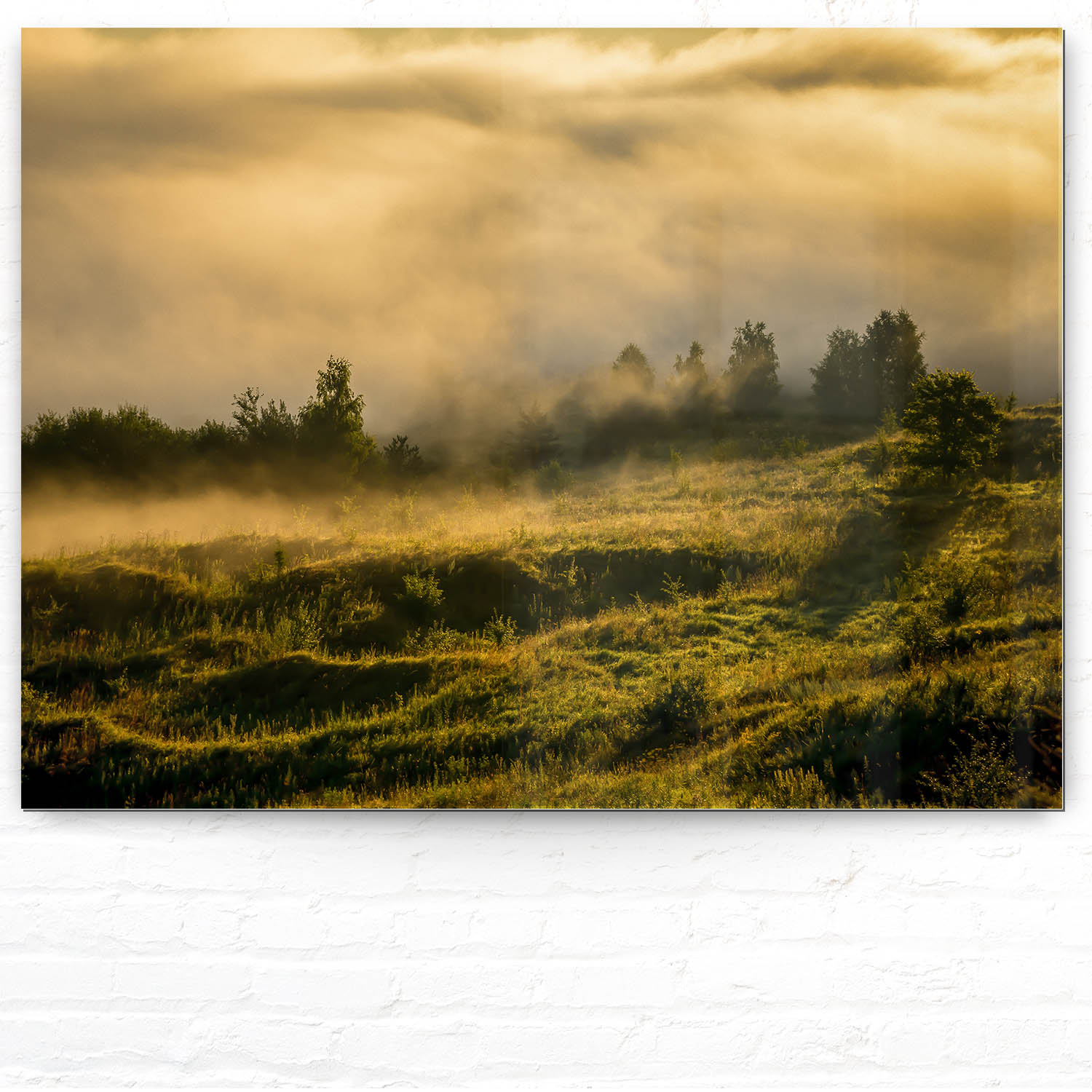 Wald Wiese Nebel am Morgen als Acrylglasverbund Bild 100x75cm