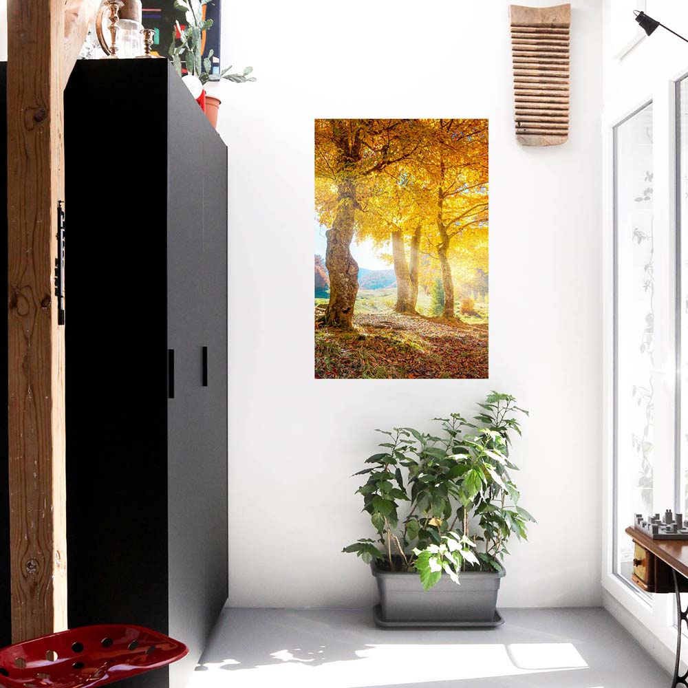 Wald & Bäume Herbst Sonne Poster XXL 100x150cm im Hochformat