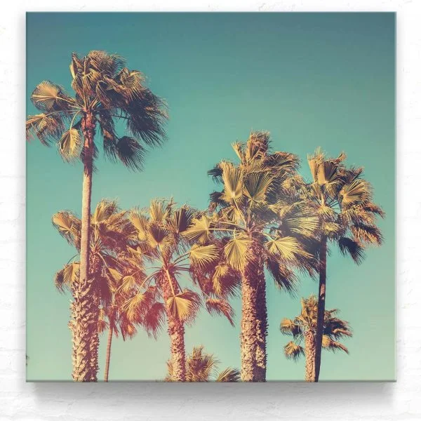 Kalifornien, USA Palmen retro look als Leinwand Bild 50x50cm