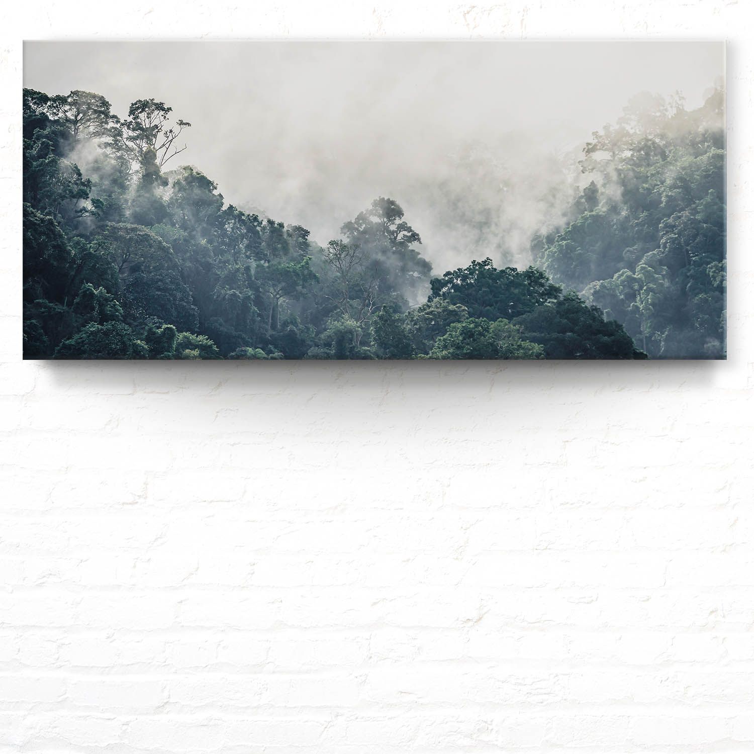 Leinwand Bild 110x50cm Dschungel, weiter Ausblick
