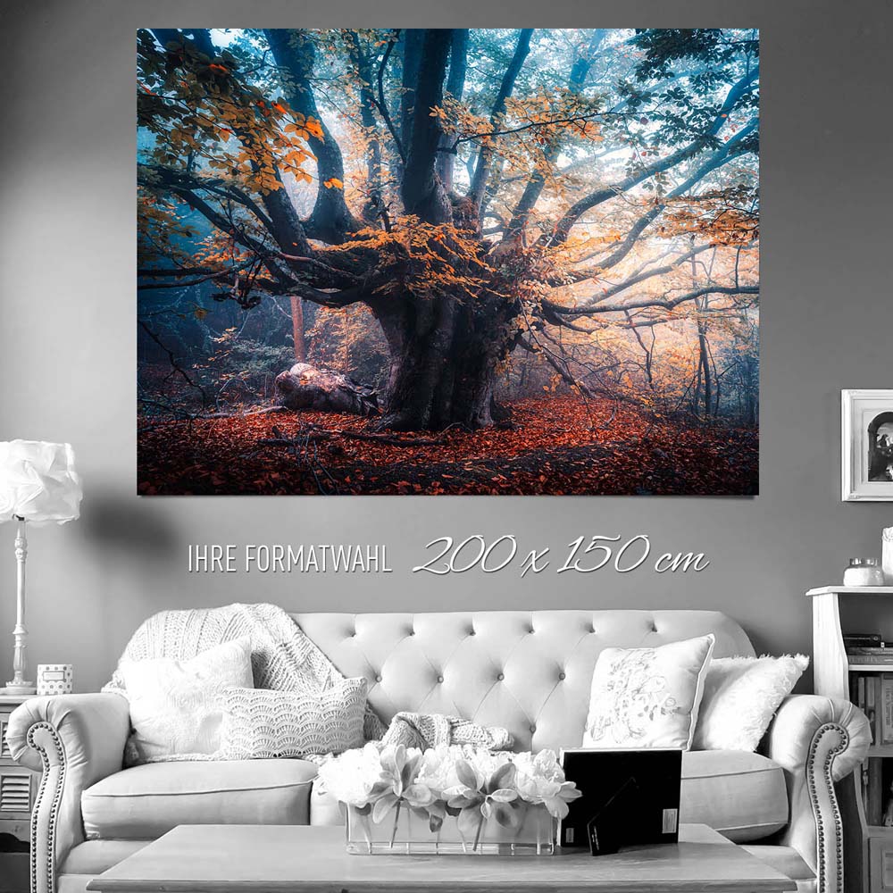 XXL Poster 200x150cm Baum Herbstbuche