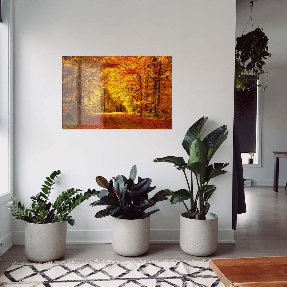 Großformat WandPoster Wald & Bäume Goldener Waldweg, 180x90cm