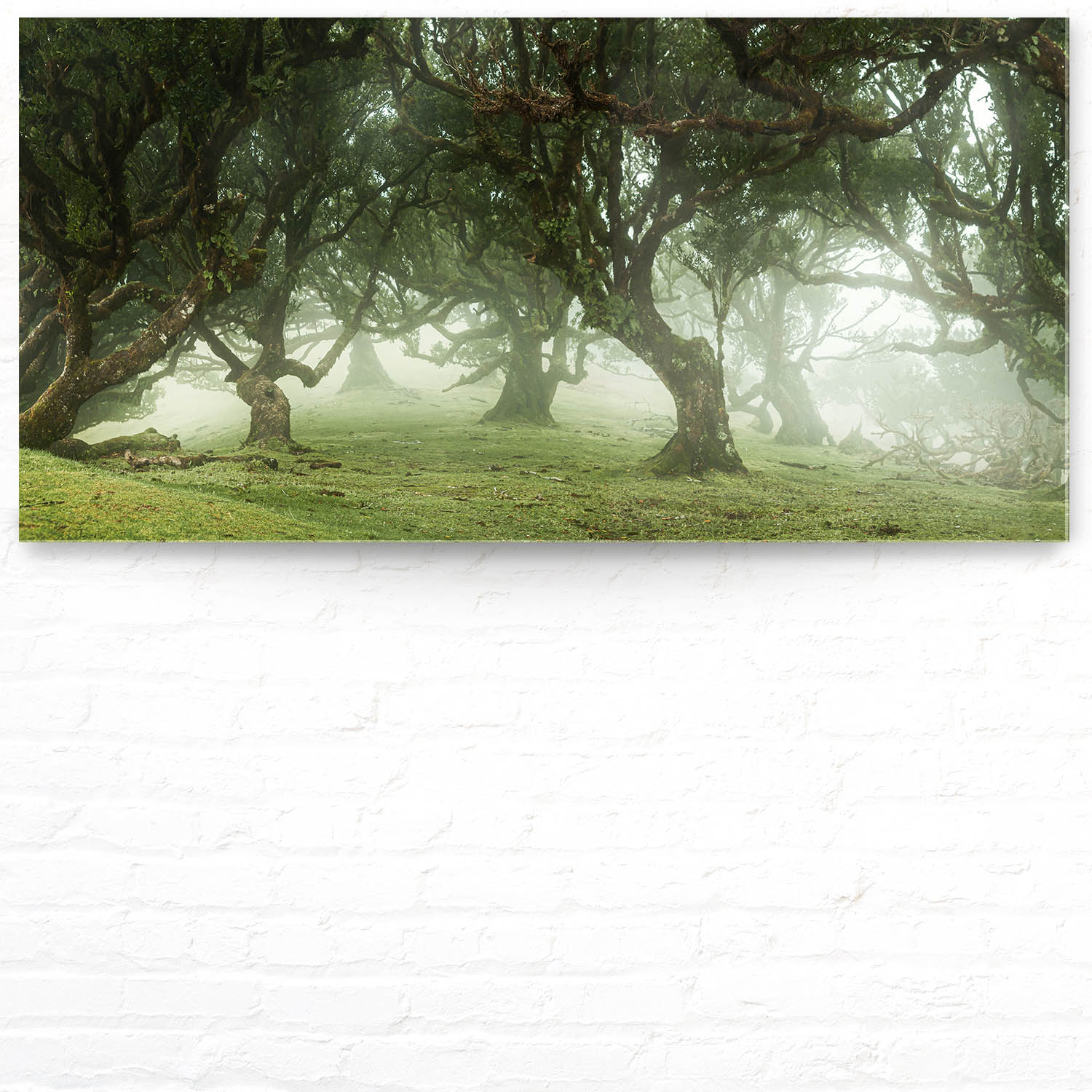 Panorama Acrylglasbild 180x90cm Wald & Bäume Nebel Gestalten