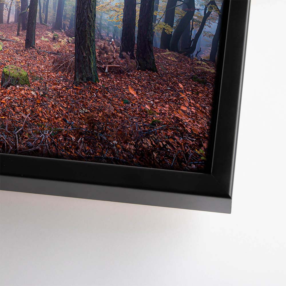 Wald & Nebel Herbst im Pfläzerwald  im schwarzen Bilderrahmen, 180x90cm