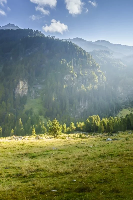 Poster 40x60cm im Hochformat, Herbst Zillertal Tirol Berge & Gebirge