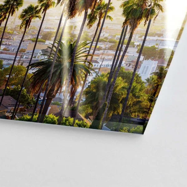 Skyline Los Angeles Palmen als Acrylglas Bild 120x60cm