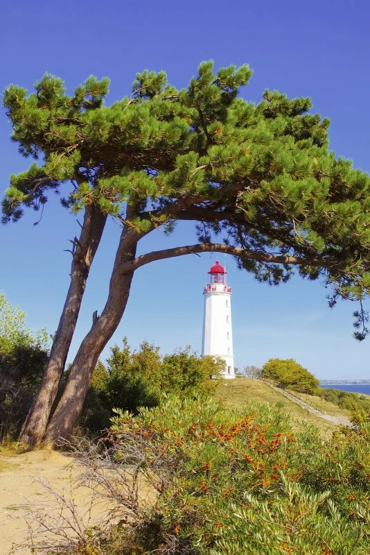Poster 40x60cm im Hochformat, Leuttchtturm Hiddensee Ostsee Strand & Meer