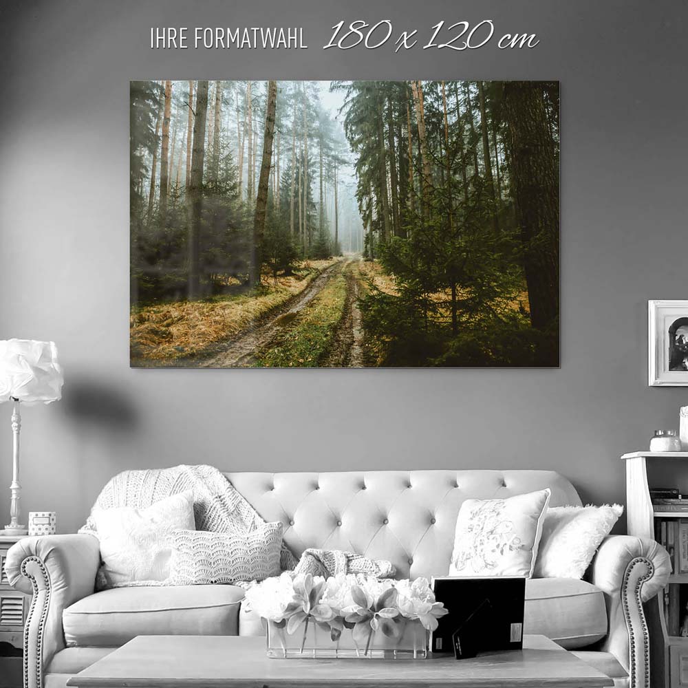 Wald Spaziergang als Acrylglasverbund Bild 180x120cm