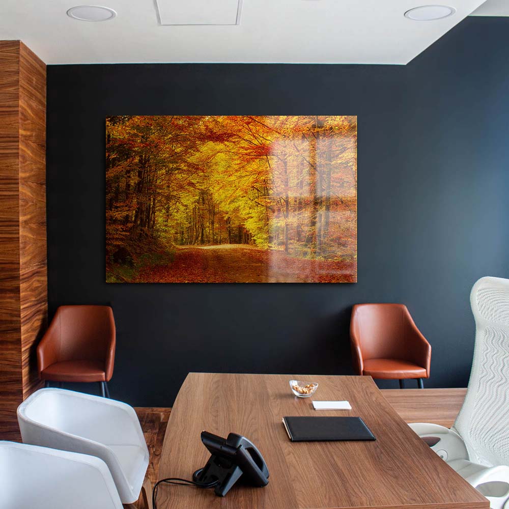 Panorama Acrylglasbild 180x90cm Wald & Bäume Goldener Waldweg