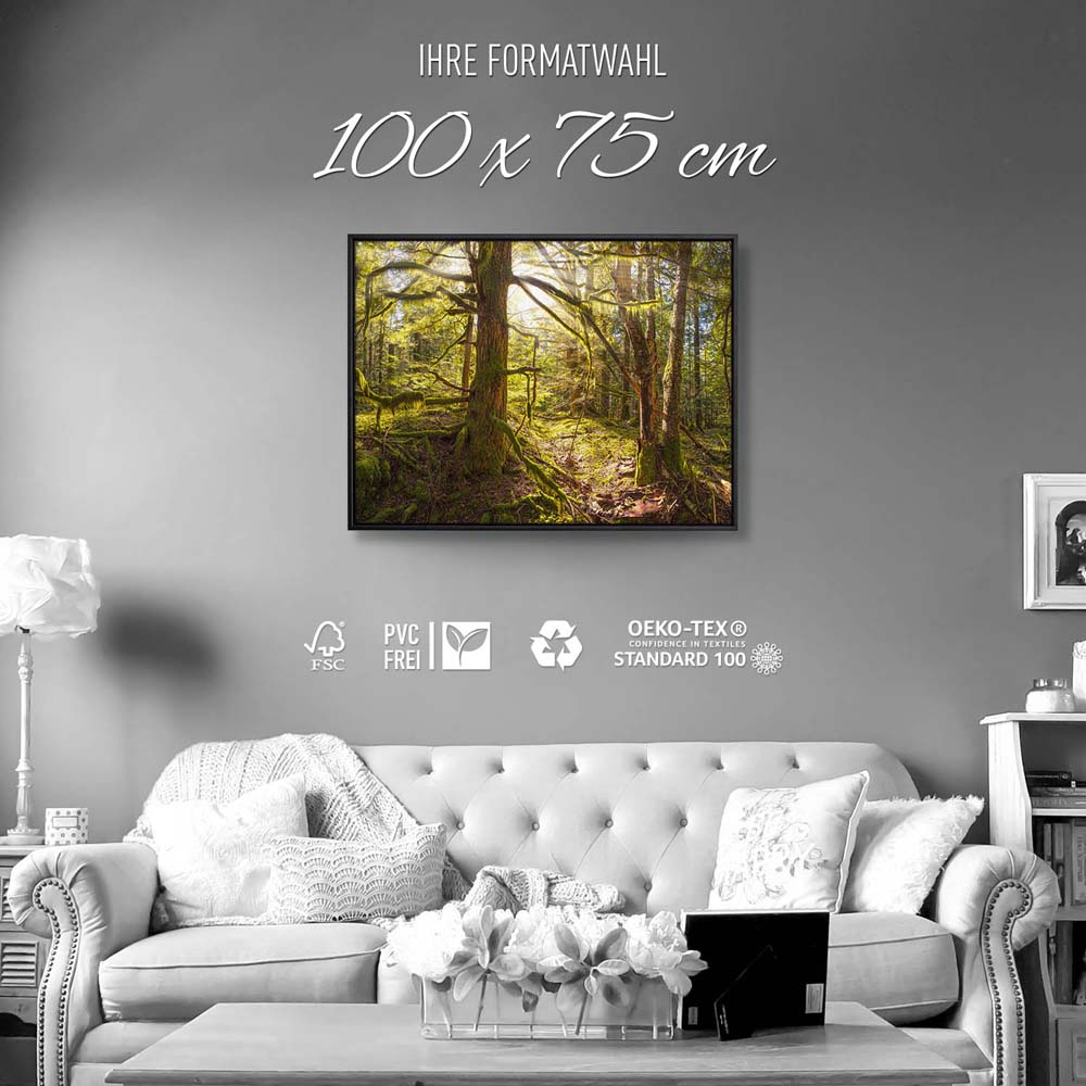 Wald Baum Sonnenhain im schwarzen Bilderrahmen, 100x75cm
